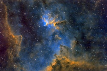 Obituary of Frank Asher Campbell