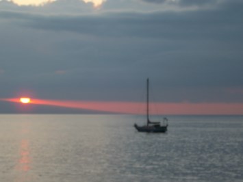 Obituary of Dorothy Seay