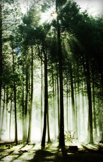 Obituary of Douglas Everett Merritt