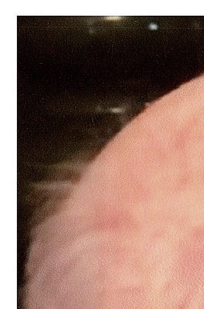 James Roe Obituary - Pensacola, FL