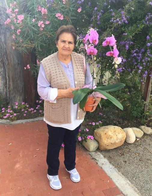 Obituary of Maria D Perez de Arana