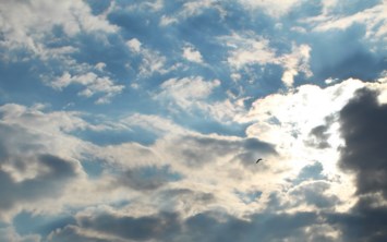 Obituary of Shu Yu Huang