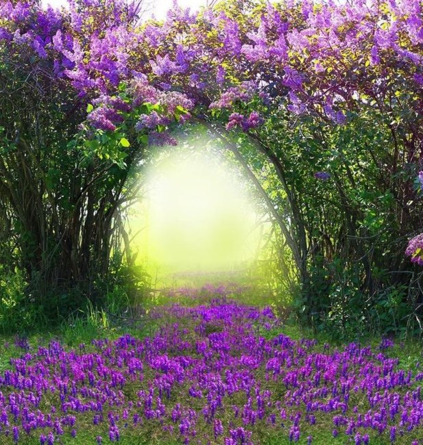 Obituary of Maria del Rosario Mancilla Macias