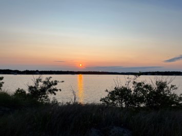 Obituary of Dr. Suzanne Stier