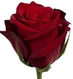 Obituary of Margaret Mary "Peggy" Mack