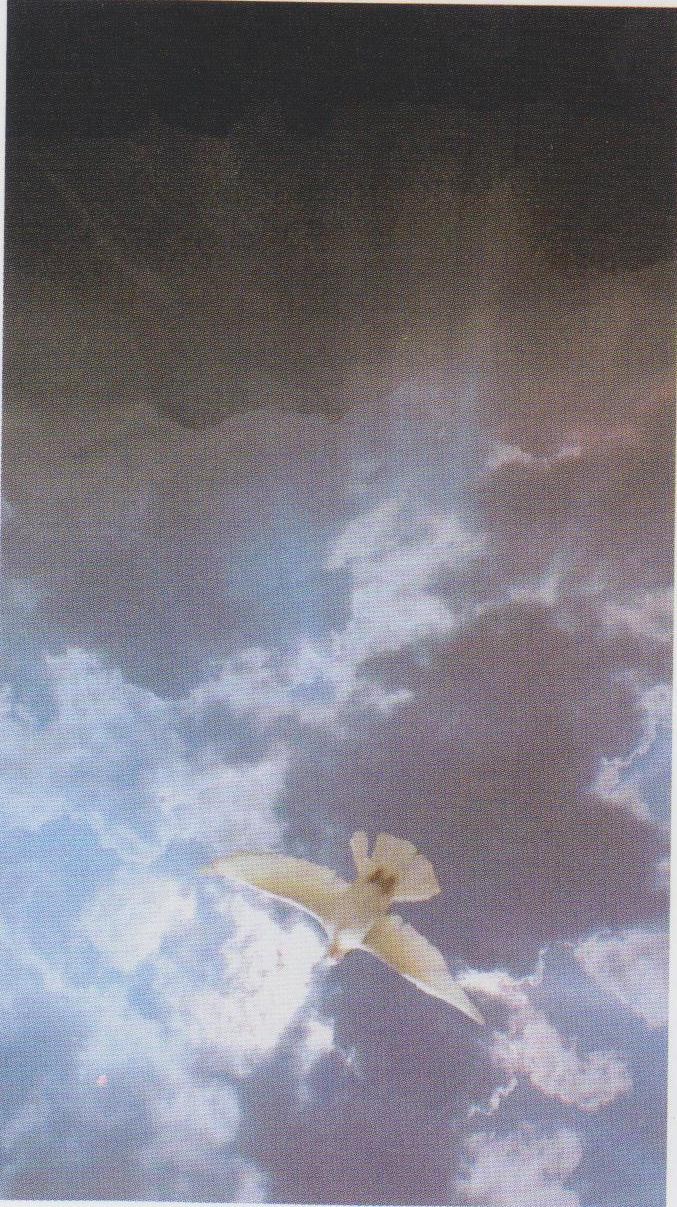 Obituary of Rita L. Higgins