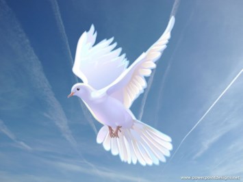 Obituary of Pedro Isaias Duran Gomez