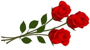 Obituary of Frances Dora (Whitesel) Smith
