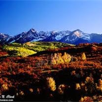 Obituary of Bonnie Elaine Coffman