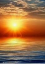 Obituary of Peter William Buchanan