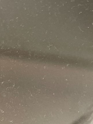 Linda Liles Obituary Longmont CO linda-liles-obituary-longmont-co