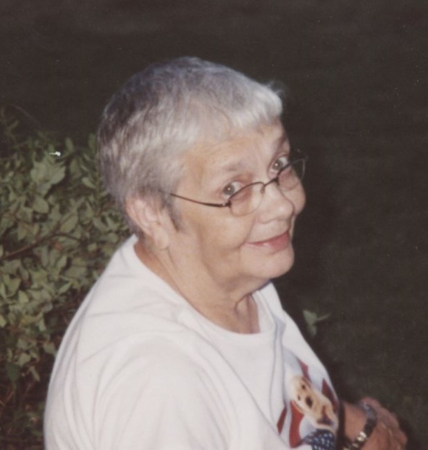 Obituary of Patricia Novosad Lester
