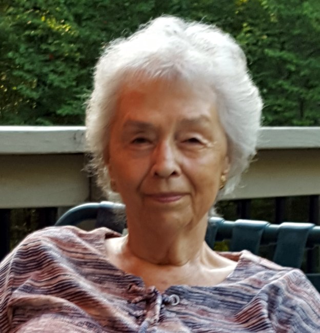 Obituary of Sue Ann Schafer