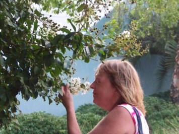 Obituary of Barbara Elaine Sulecki