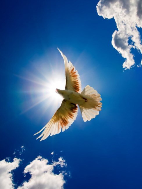 Obituario de Timothy James Banks Sr.