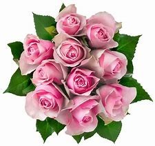 Obituary of Rosemary T. Phelps