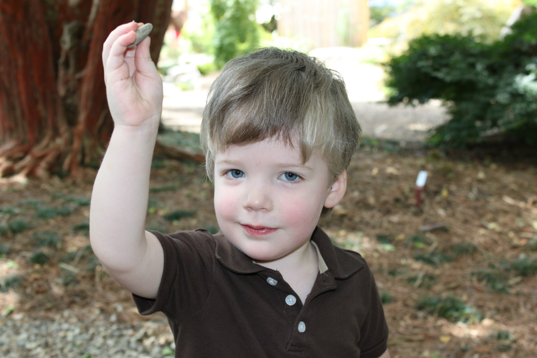 Obituary of Henry Pierce Green