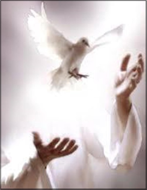 Obituary of Sherry Kay Pate Paris