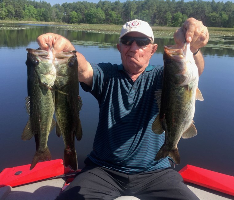 Obituary of Zaki Dawaf