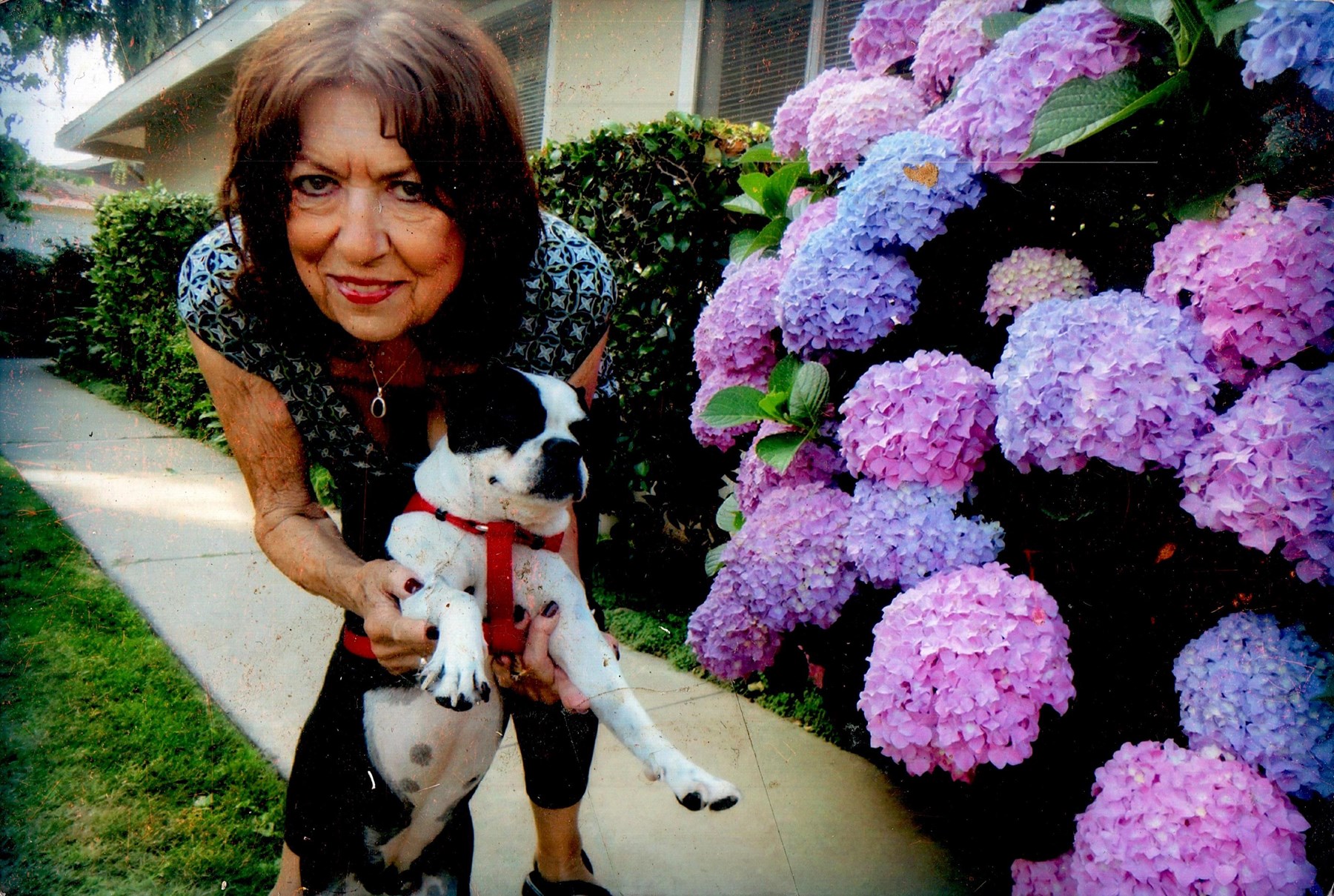 Obituary of Gail I. Brown