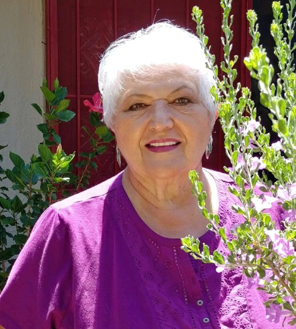 Obituary of Lucia Alicia Vidal