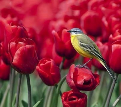 Obituary of Barbara D. Jameson