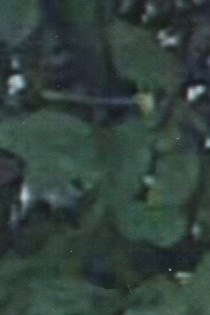 Ruth Marie Lowe Obituary - DeWitt, MI