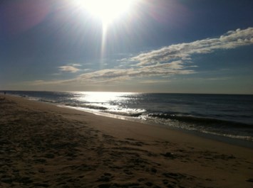 Obituary of Helen G Lilienfeld