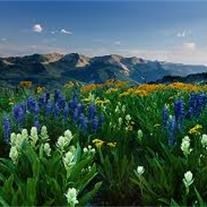 Obituary of Charles Ramon Harroun