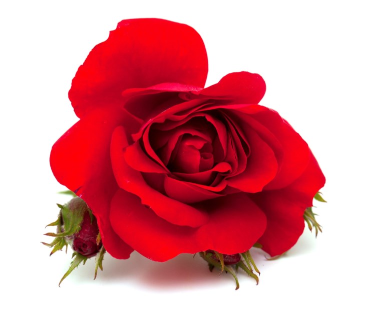 Obituary of Bernice Elizabeth Hanson Armstrong