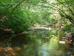 Obituary of Kenneth E. Harrison