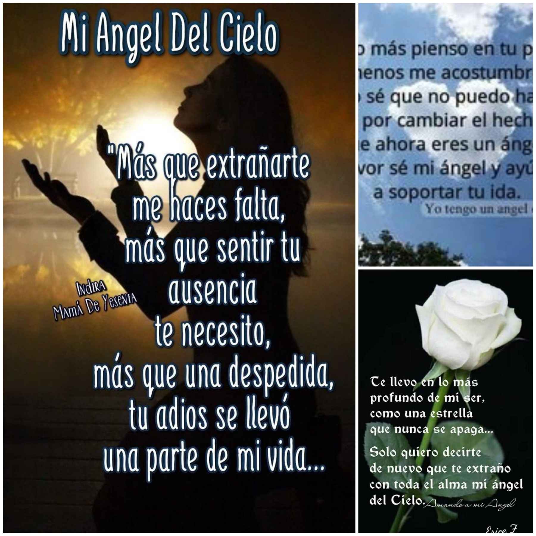 Rosie Vivas Obituario - West Palm Beach, FL