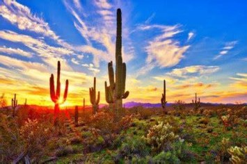 Obituario de Richard Tibayan Cruz