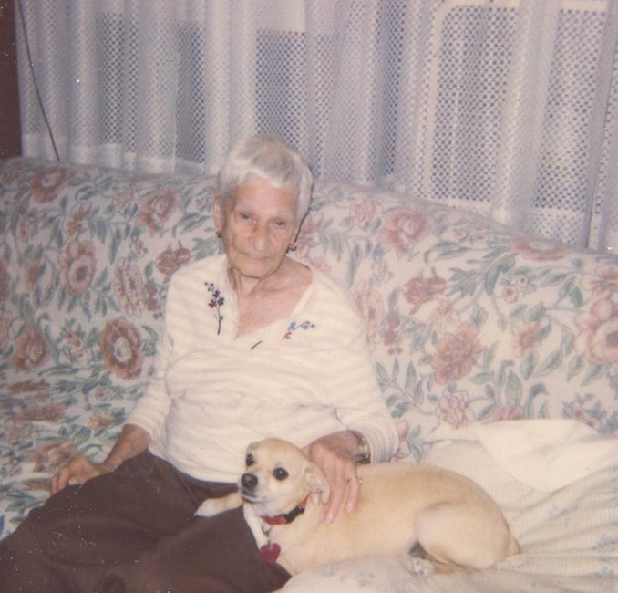 Obituary of Ann DeCarlo