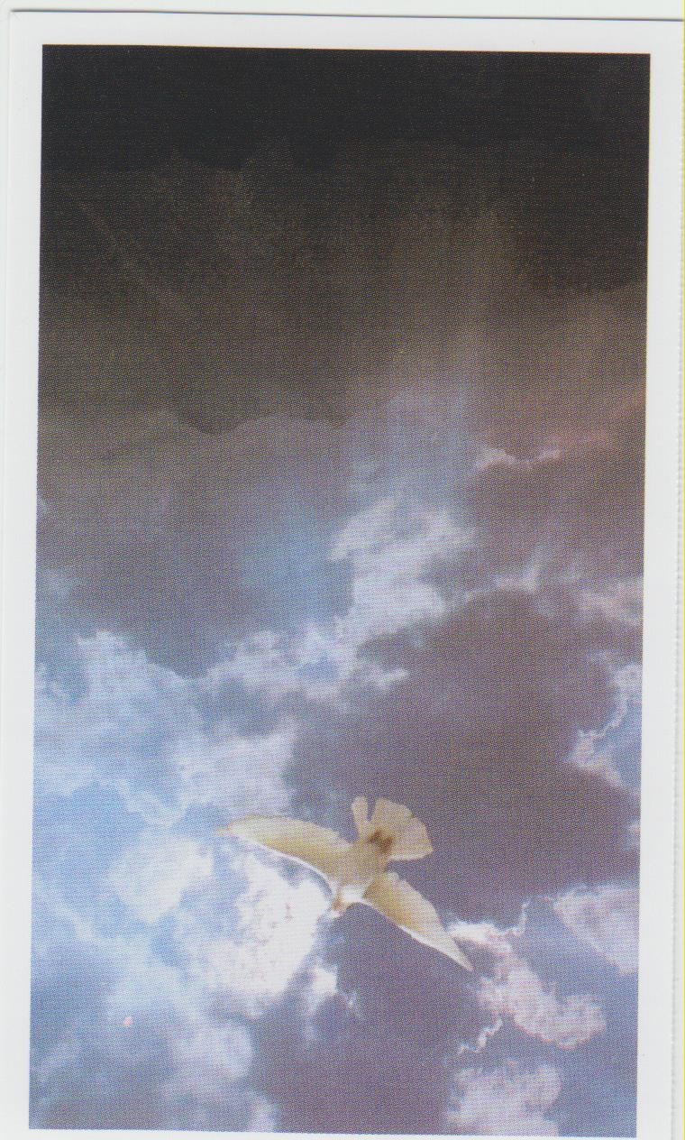 Obituary of Eileen Norton