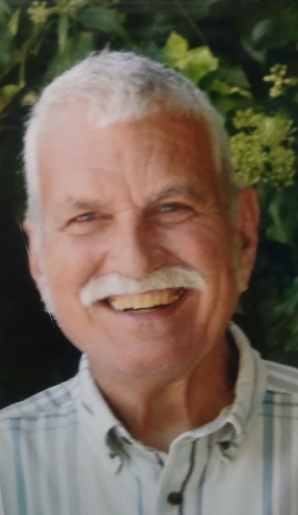 Obituario de James Nicholas Benardini II