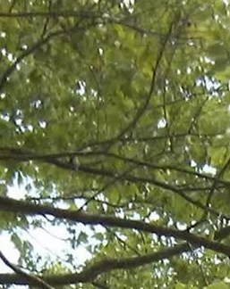 Larry Rinker Obituary - Bloomington, IN