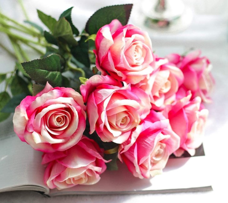 Obituary of Marilyn Abramson-Cavanaugh