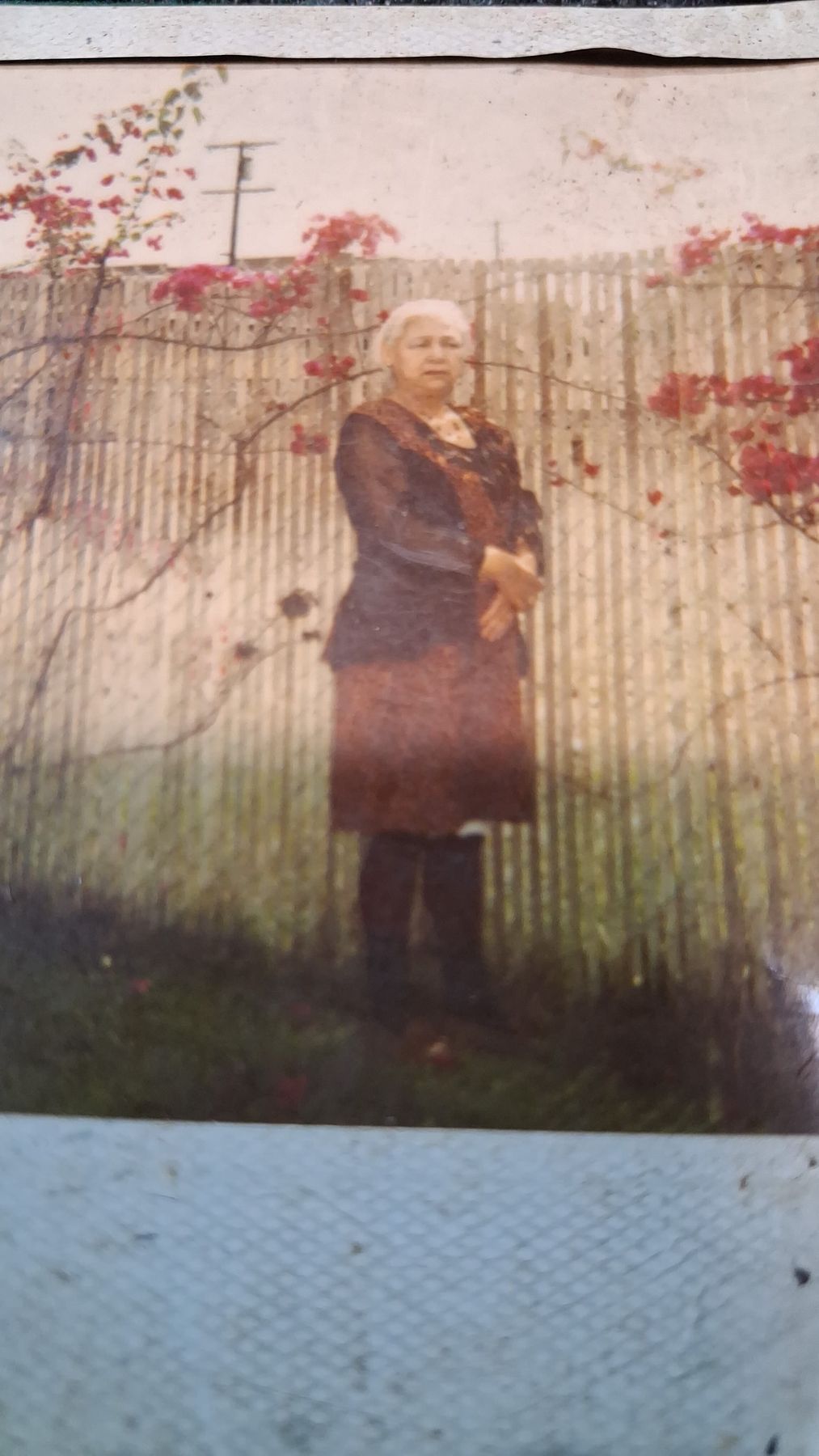 Obituary of Salvadora Mendoza