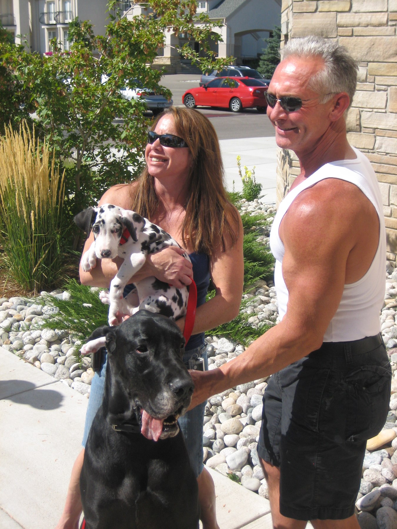 Obituary of Lisbeth "Liz" Dale Phillips