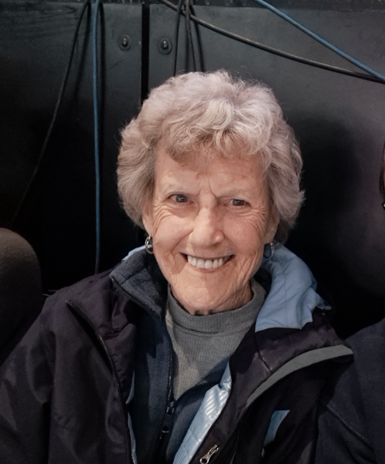 Obituary of Arlene Mildred Tenaglia