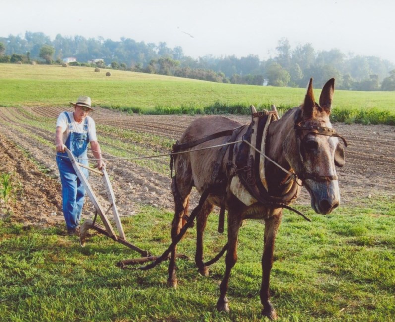 Obituary of Frank Grizzell