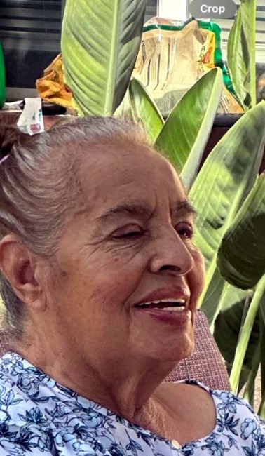 Obituary of Eloisa Fernandez Herrera