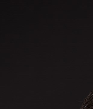 Carlos Ortiz Obituary Miami, FL