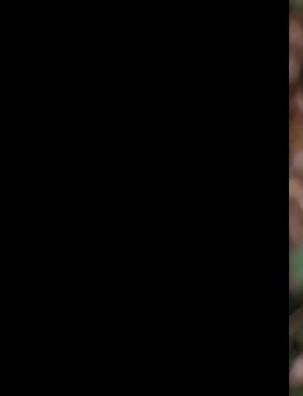 Meryl Catherine Ortte Dodge Obituary New Orleans LA meryl-catherine-ortte-dodge-obituary-new-orleans-la