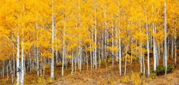 Obituary of Terry Lee Claflin