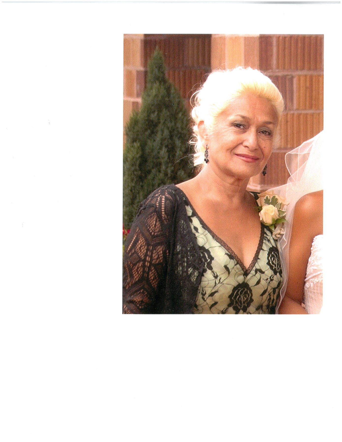 Obituary of Bonnie Gomez