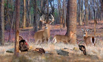 Obituary of Andrew Jackson "Jack" Lawrence