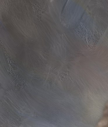 David Wayne Pierce Obituary Louisville, KY