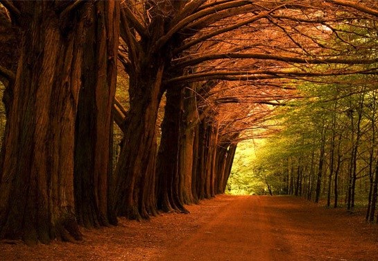 Obituary of Raymond R. Miller